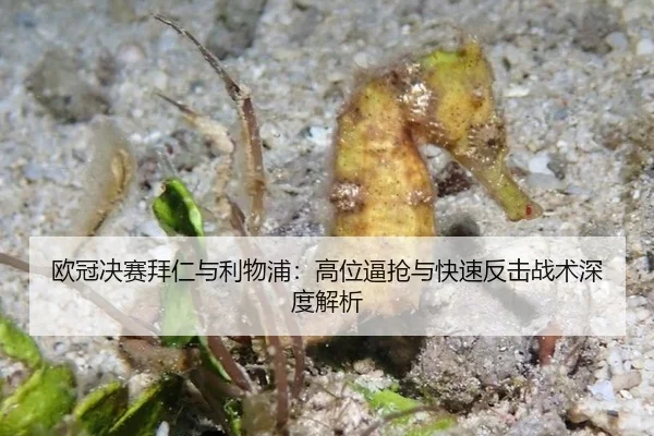 欧冠决赛拜仁与利物浦：高位逼抢与快速反击战术深度解析